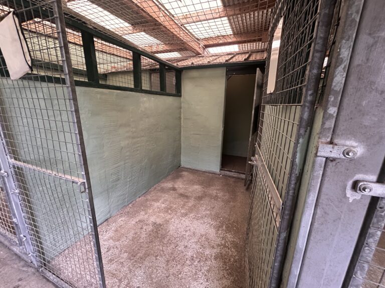 A secure, comfortable indoor dog kennel